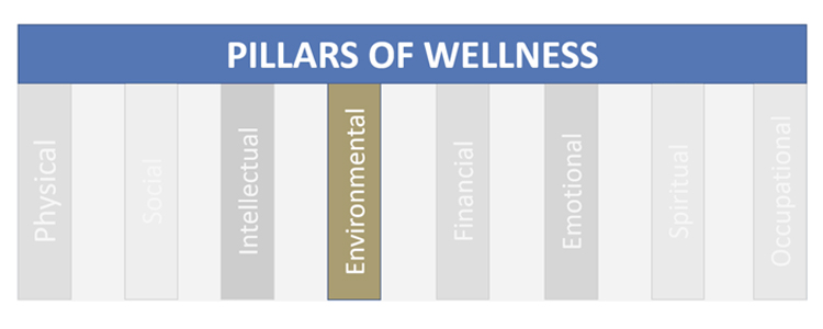 pillars-of-wellness-environmental