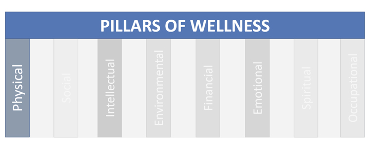 pillars-of-wellness-physical