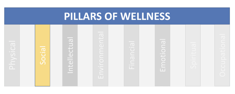 pillars-of-wellness-social